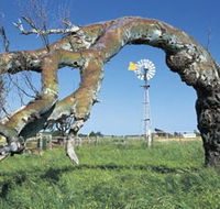 Greenough Leaning Trees - Rent Accommodation