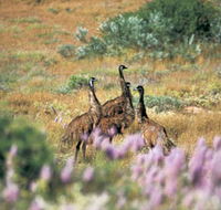 Jurabi Coastal Reserve - Rent Accommodation
