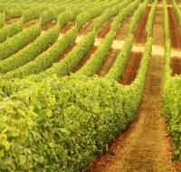 Darlington Estate Winery and Restaurant - Rent Accommodation