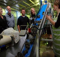 Eyre Peninsula's Seafood Trail - Rent Accommodation