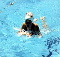 Mount Gambier Aquatic Centre - Rent Accommodation