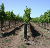 Temple Bruer Winery - Rent Accommodation