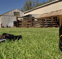 Wilkadene Woolshed Brewery - Rent Accommodation