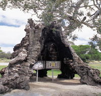 The Herbig Family Tree - Rent Accommodation