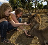 Kangaroo Island Wildlife Park - Rent Accommodation