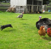 Echo Farm - Rent Accommodation