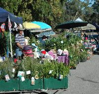 Meadows Monthly Market - Rent Accommodation