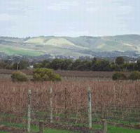 Mclaren Vale Premium Wines - Rent Accommodation