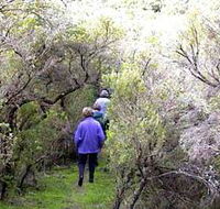 Jack And Hilda McArthur Walk - Rent Accommodation