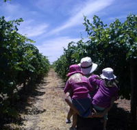 McLaren Vale Orchards - Rent Accommodation