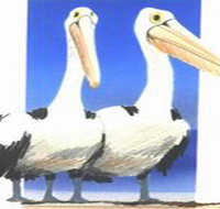 Bay of Shoals Wines - Rent Accommodation