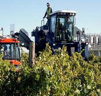 Ballast Stone Estate Wines Pty Ltd - Rent Accommodation