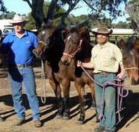 Coffin Bay Brumby Preservation Society Incorporated - Rent Accommodation