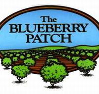 The Blueberry Patch - Rent Accommodation