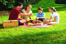 Rent Accommodation