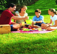Bruny Island Berry Farm - Rent Accommodation