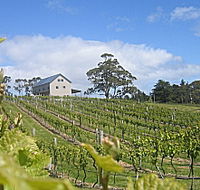 Bruny Island Premium Wines Bar and Grill - Rent Accommodation
