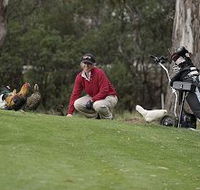 Tasmania Golf Club - The - Rent Accommodation