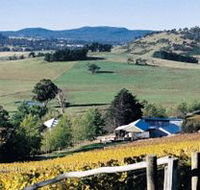 Freycinet Vineyards Pty Ltd - Rent Accommodation