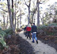 Bridport Walking Track - Rent Accommodation