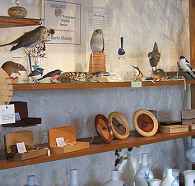 Touchwood Craft Gallery Gifts and Cafe - Rent Accommodation