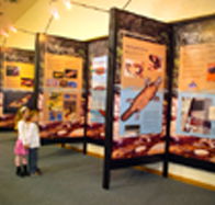 Platypus Experience - Rent Accommodation