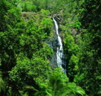 Kondalilla National Park - Rent Accommodation