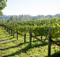 Surveyor's Hill Vineyards - Rent Accommodation