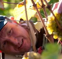 Puddleduck Vineyard - Rent Accommodation