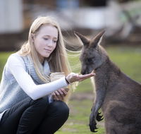 Bonorong Wildlife Sanctuary - Rent Accommodation