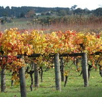 Apsley Gorge Vineyard - Rent Accommodation