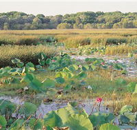 Fogg Dam Conservation Reserve - Rent Accommodation