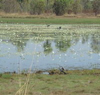 Leaning Tree Lagoon Nature Park - Rent Accommodation