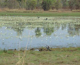 Leaning Tree Lagoon Nature Park - Rent Accommodation 0
