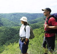 Sunshine Coast Hinterland Great Walk - Rent Accommodation