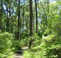 Mapleton Falls National Park - Rent Accommodation
