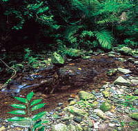 Wompoo Walk - Rent Accommodation