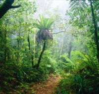 Lamington National Park Green Mountains Section - Rent Accommodation