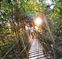 Tree Top Walkway - Rent Accommodation