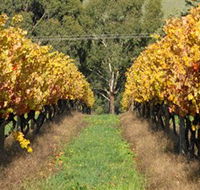 Wild Dog Winery  Restaurant - Rent Accommodation