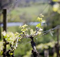 Elan Vineyard and Winery - Rent Accommodation