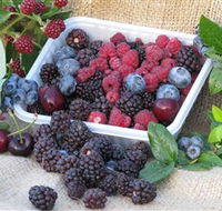 Bright Berry Farms - Rent Accommodation