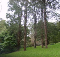 Mount Dandenong Arboretum - Rent Accommodation