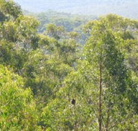 Bunyip State Park - Rent Accommodation