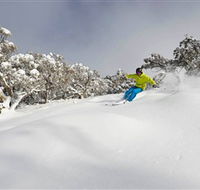 Mt Buller and Mt Stirling Alpine Resort - Rent Accommodation