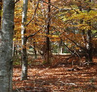RJ Hamer Arboretum - Rent Accommodation