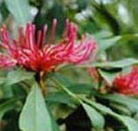 Alfred National Park - Rent Accommodation