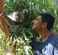 Healesville Sanctuary - Rent Accommodation