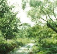 Holey Plains State Park - Rent Accommodation