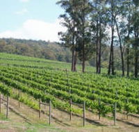 Piedmont Vineyard - Rent Accommodation